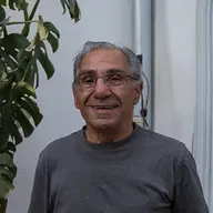 بیتا فرهی