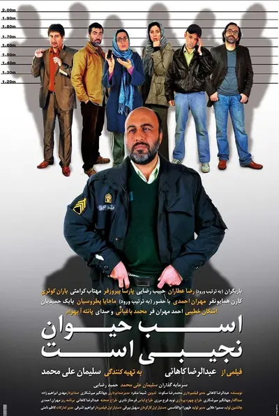 اسب حیوان نجیبی است