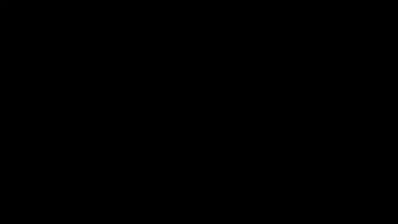 پایلوت