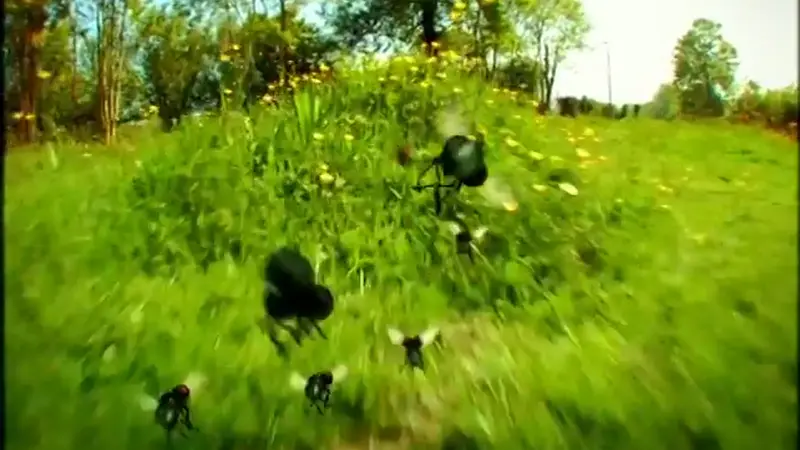 گشت خواب