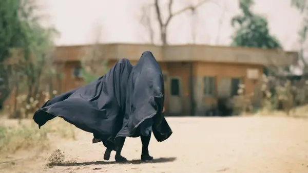 ویلایی ها