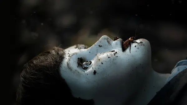 برامس: پسر ۲