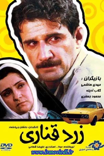 زرد قناری
