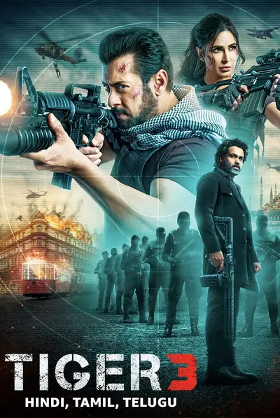 تایگر ۳