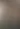 شروود