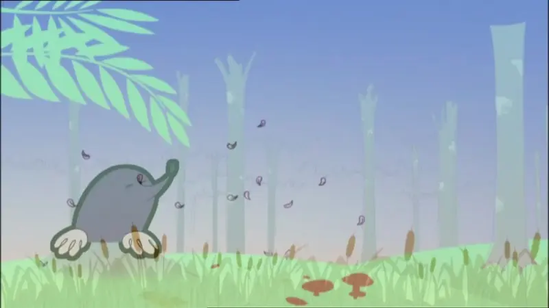 در حیات وحش