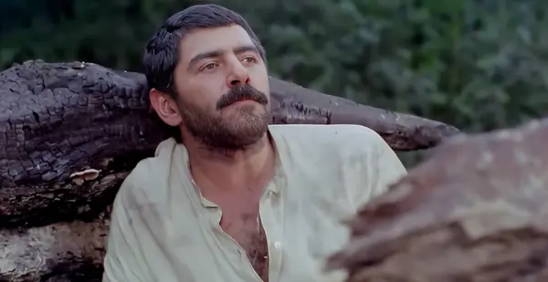 ریشه در خون