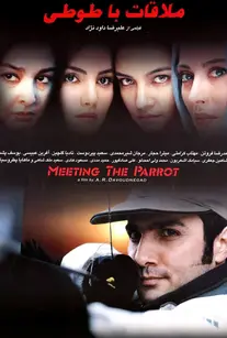ملاقات با طوطی